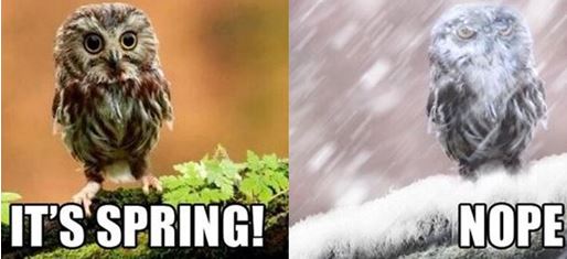 SpringNope